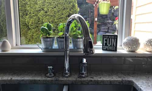 delta 1670 best faucets review
