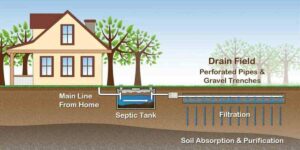 Homemade Septic Tank Treatment - The Curious Home