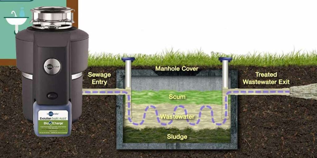 Best Garbage Disposals for Septic Systems - The Curious Home