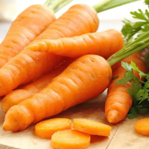 Carrots Not To Put In Garbage Disposal