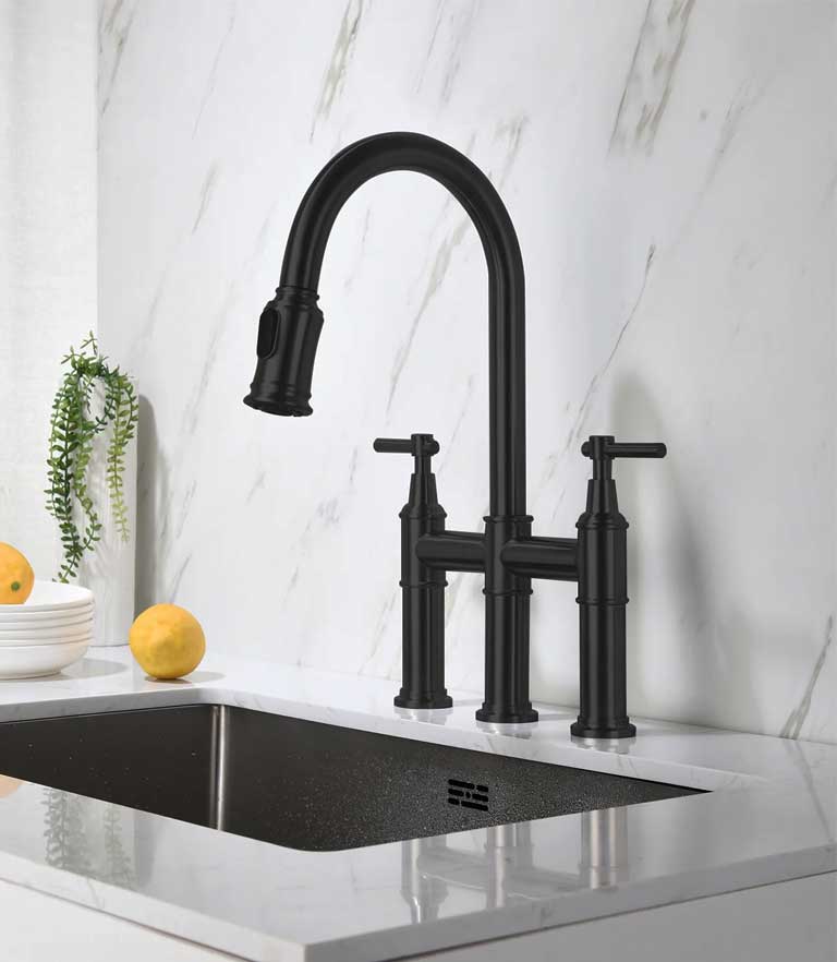 Double-Handled Kitchen Faucets