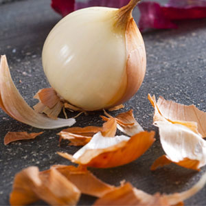 Onion Skins Not To Put In Garbage Disposal