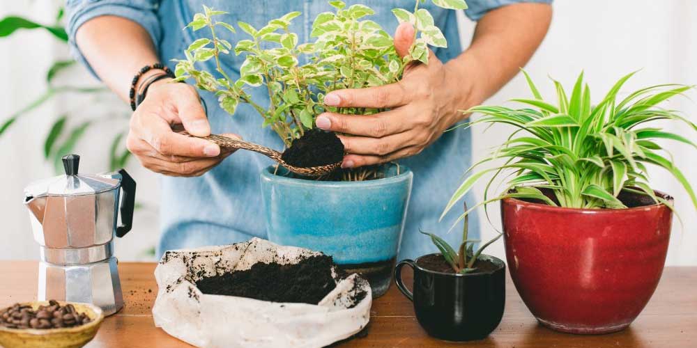 should you put coffee grounds the sink