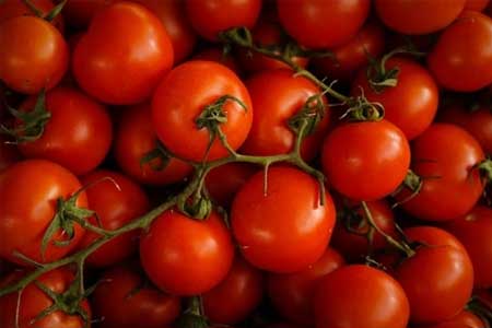 Using tomatoes for Homemade Septic Tank Treatment